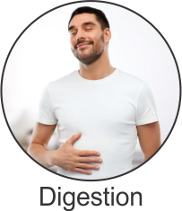Digestion
